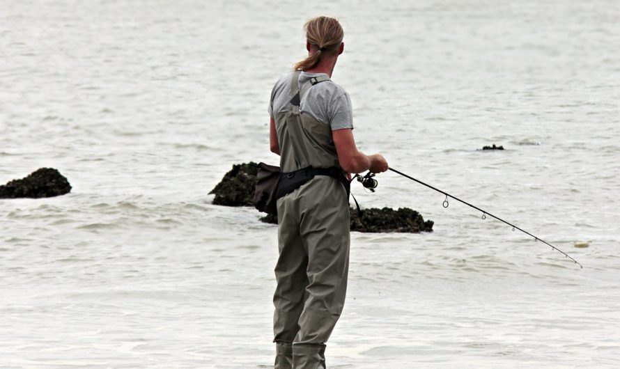 Quels sont les bienfaits de la pêche ?